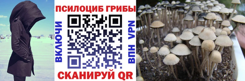 Псилоцибиновые грибы Cubensis  нарко площадка официальный сайт  Десногорск 